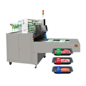 Channel-type modified atmosphere sealing machine